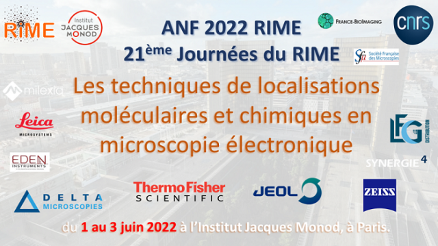 Synergie4 aux 21èmes journées du Réseau d’Imagerie en Microscopie Électronique à Paris